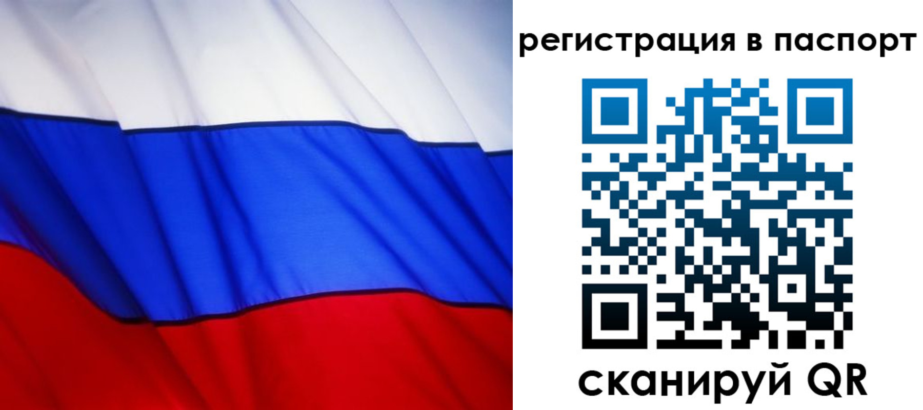 прописка 2025 в Звенигороде